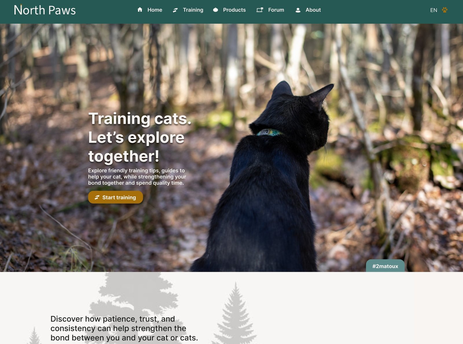 North Paws website design project